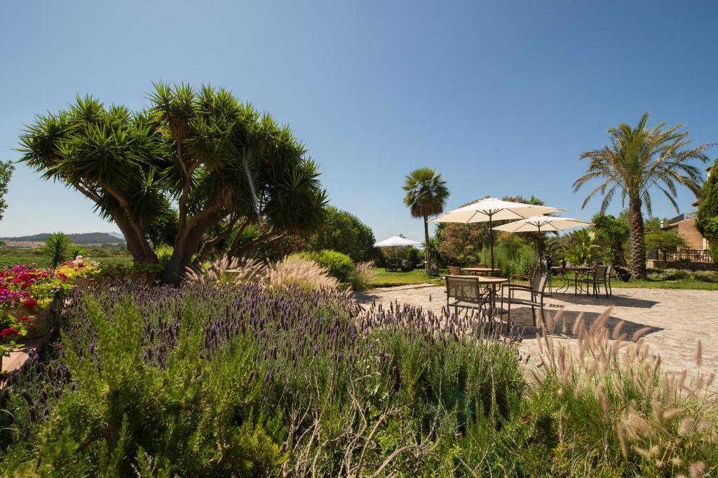 بوريريس Agroturismo Can Feliu المظهر الخارجي الصورة