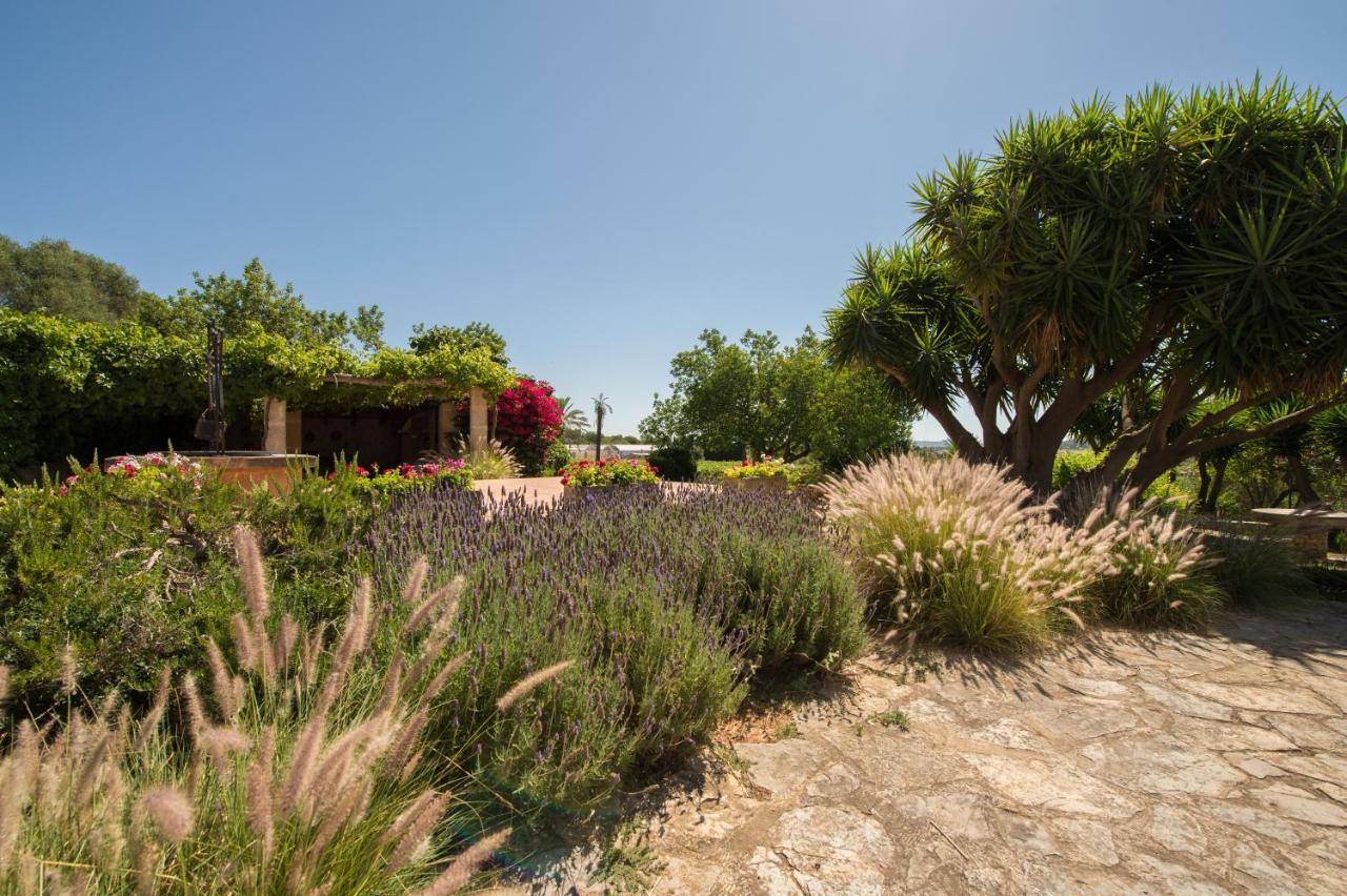 بوريريس Agroturismo Can Feliu المظهر الخارجي الصورة